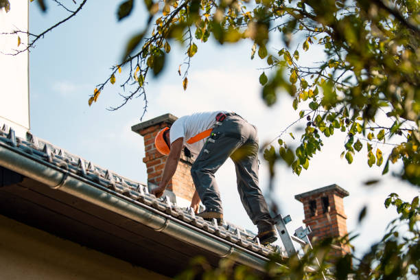 Best Rubber Roofing (EPDM, TPO)  in Ottawa Hills, OH