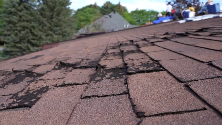 Best Solar Panel Roofing Installation  in Ottawa Hills, OH